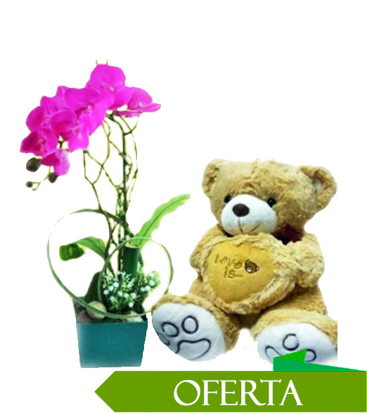 Fina Orquidea y Peluche 30 cm